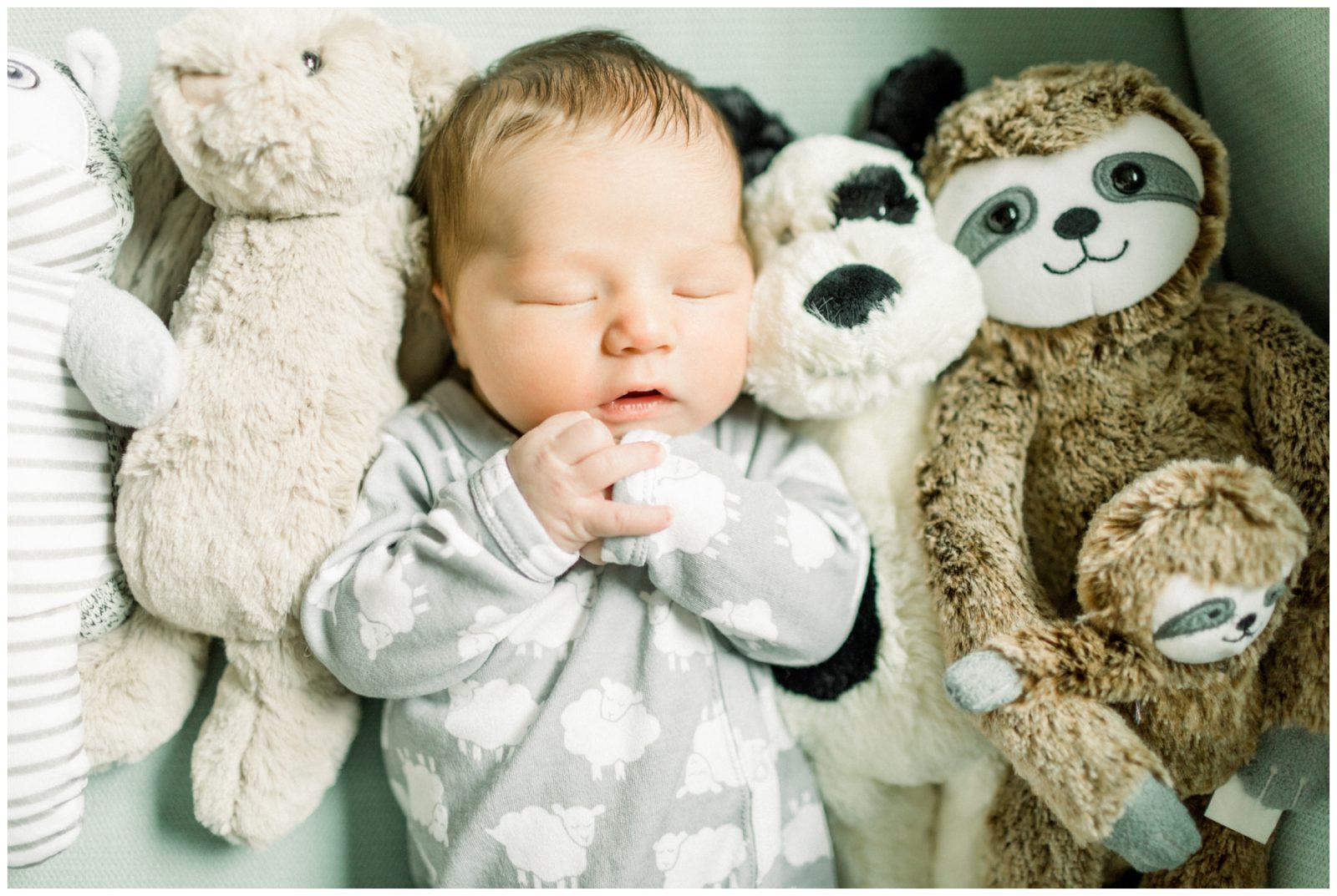 Newborn sleeping. Surrounded by cute stuffed animals.
