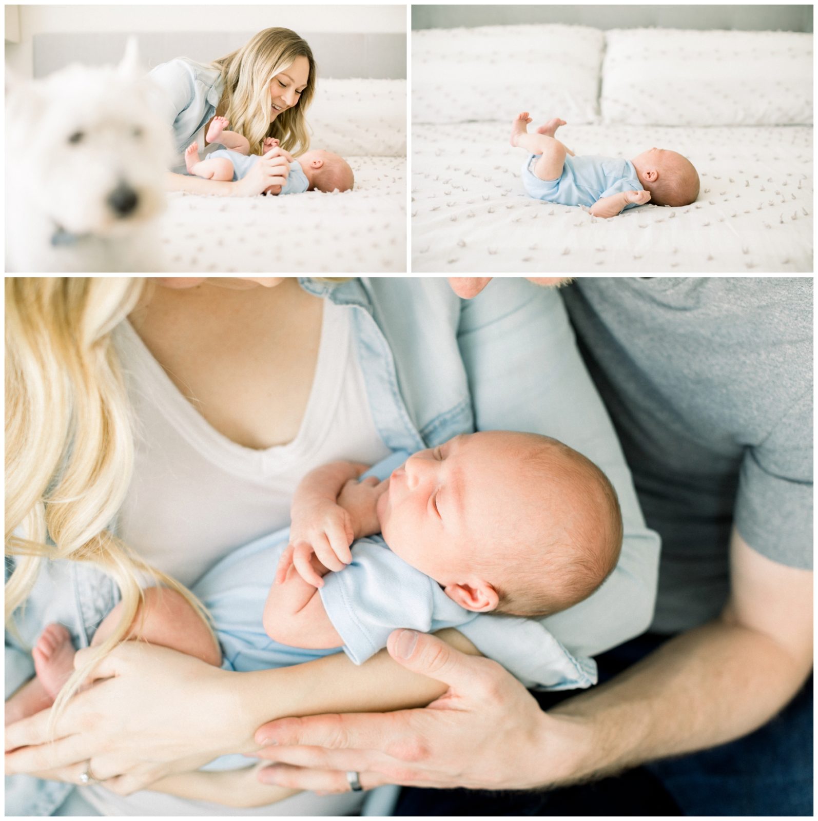 Three pictures. One shows a mother with a newborn baby and a dog. The other one is the baby lying down on a bed. The last picture is the parents holding the baby in their arms.