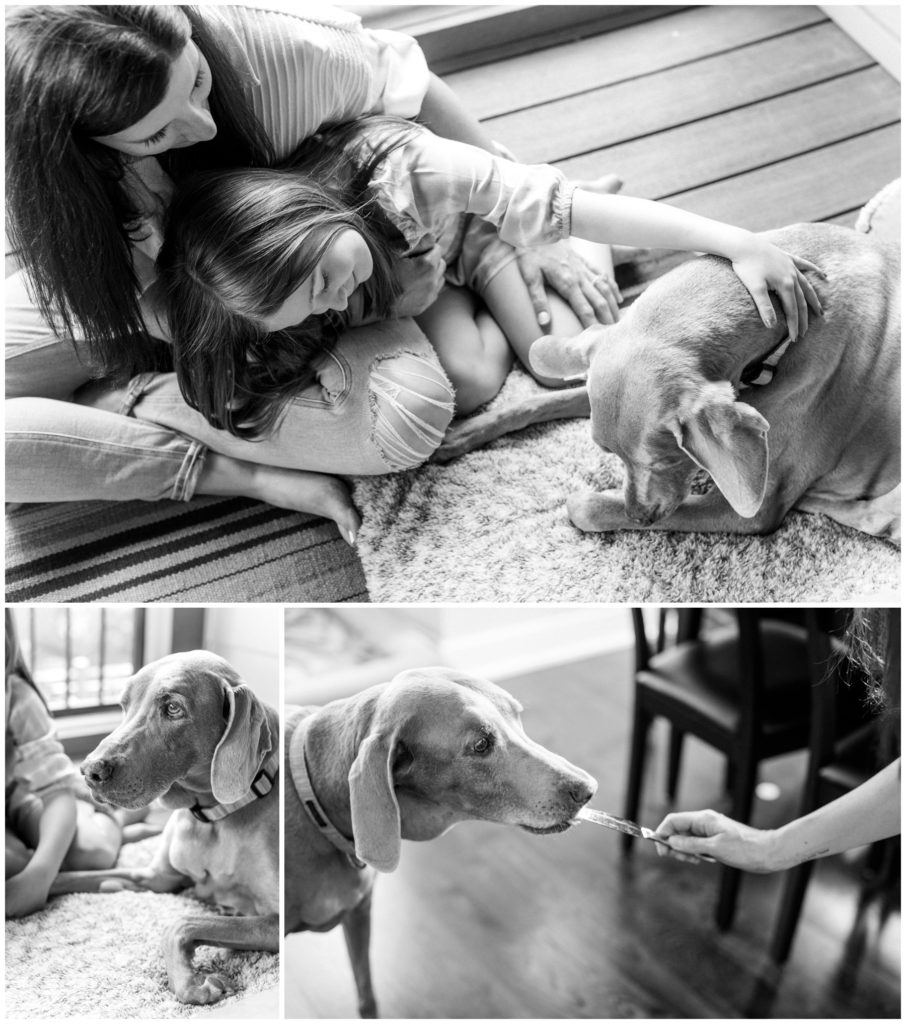 Family saying goodbye to a family member during a photo shoot of puppy Sylvie. Dog eating peanut butter. 